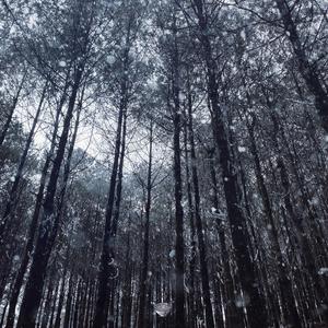 欧美handjob变态手交
