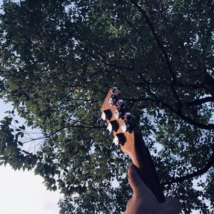 欧美handjob变态手交
